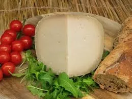 Tomme de chèvre