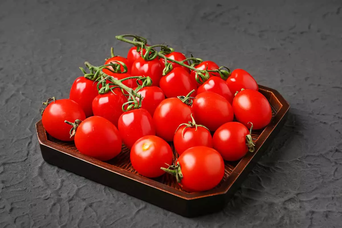 Tomates cerises